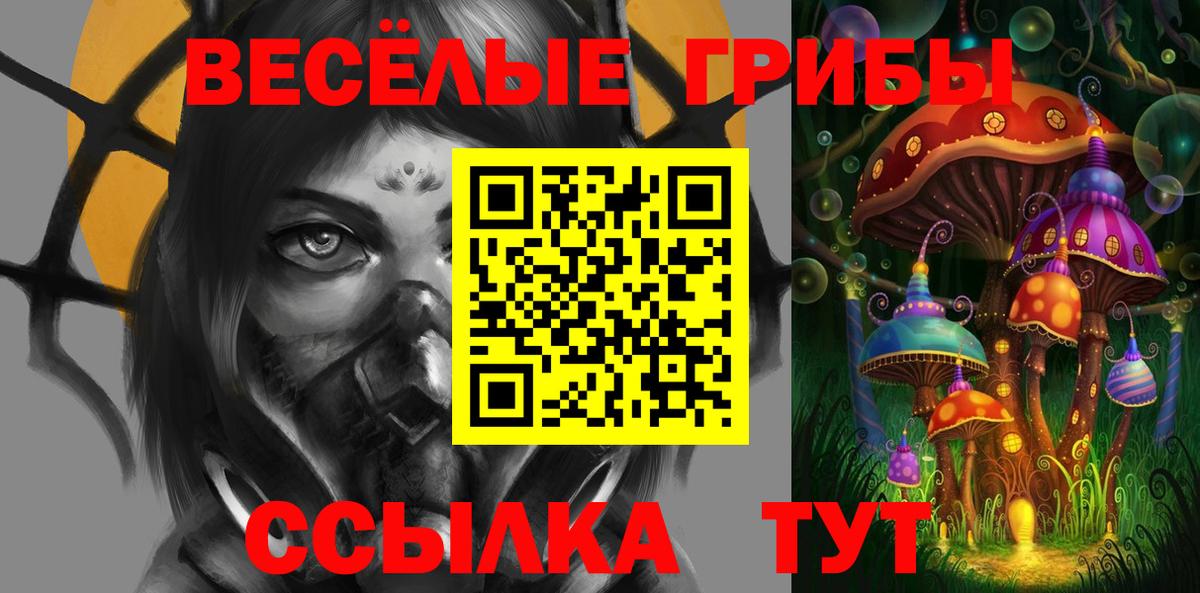 Псилоцибиновые грибы мухоморы  Псилоцибиновые грибы Psilocybe  Вход с VPN  Черняховск 