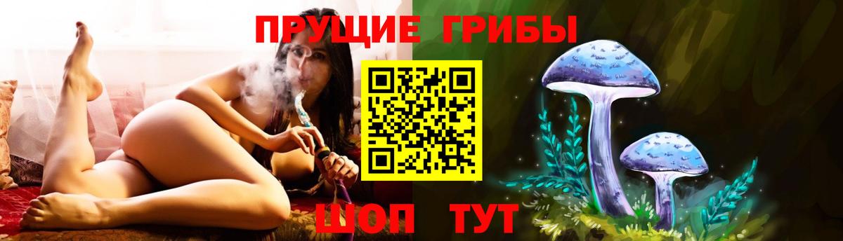 Псилоцибиновые грибы GOLDEN TEACHER Черняховск